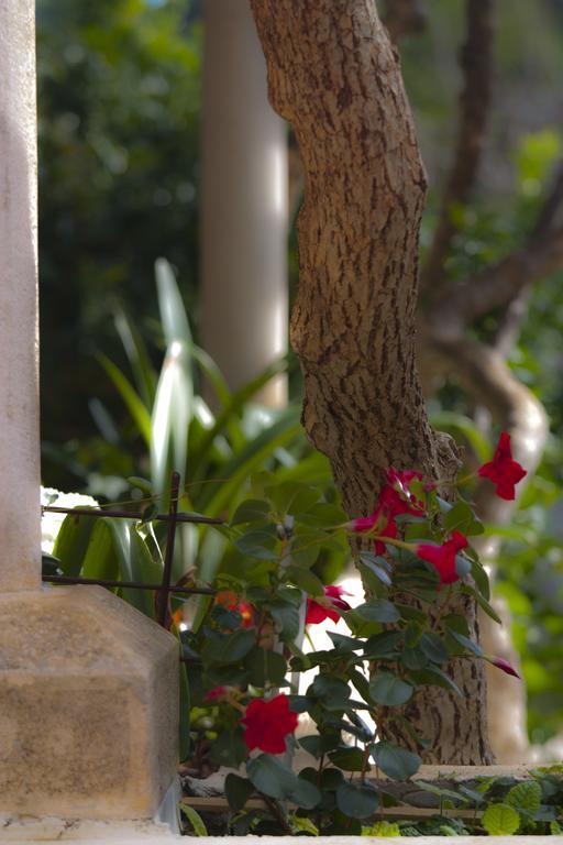 Apartament Park Dubrovnik